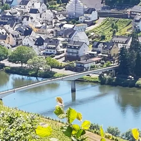 Haus Am Bachgasse - Haus Von 1777 Mit Sauna 摩泽尔河畔的泽尔