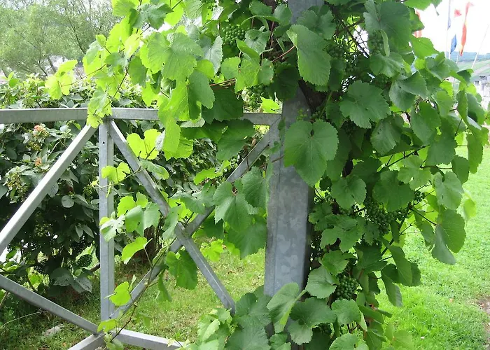 Hébergement de vacances Haus Am Bachgasse - Haus Von 1777 Mit Sauna *