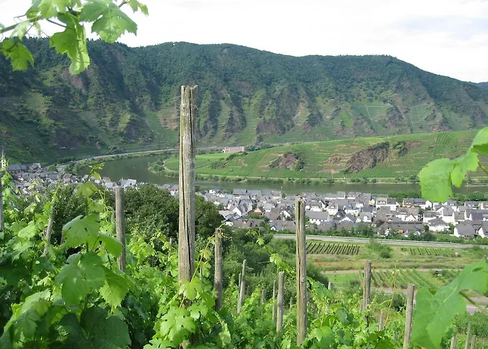 Haus Am Bachgasse - Haus Von 1777 Mit Sauna *